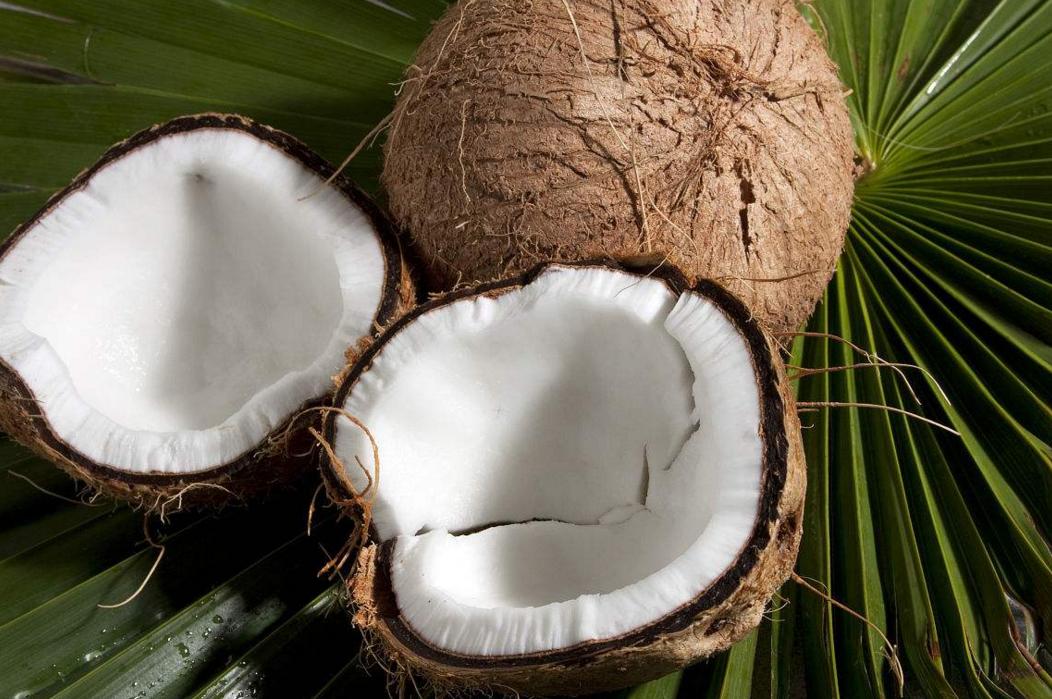 买椰子的人简介,海南椰子岛简介