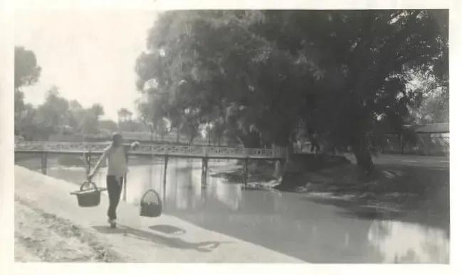 保定近现代高等教育的光源