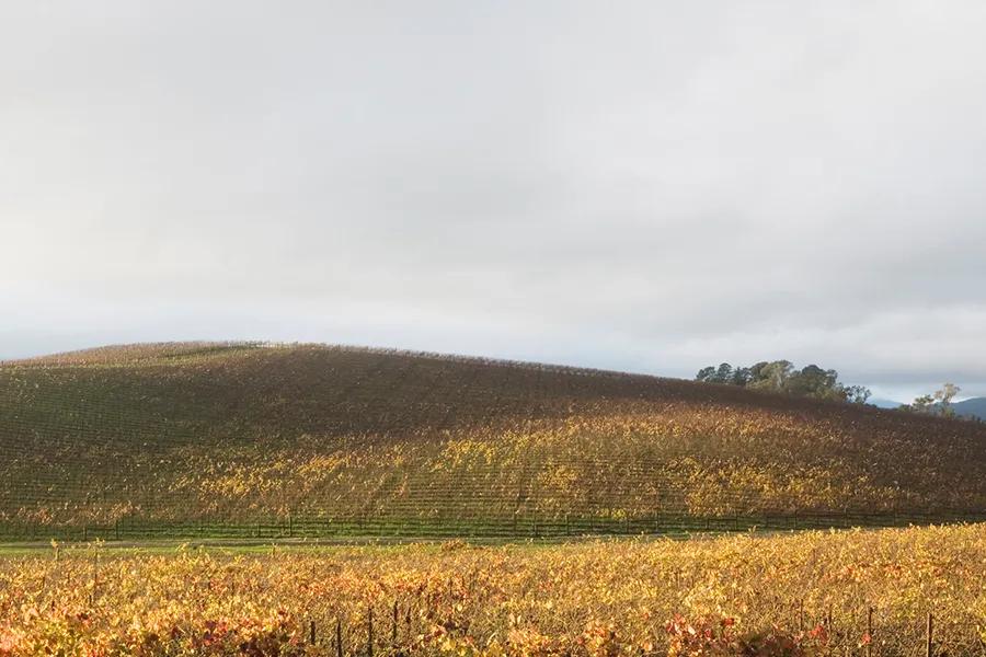 windowsxp的默认壁纸十年的变化,windowsxp壁纸现状