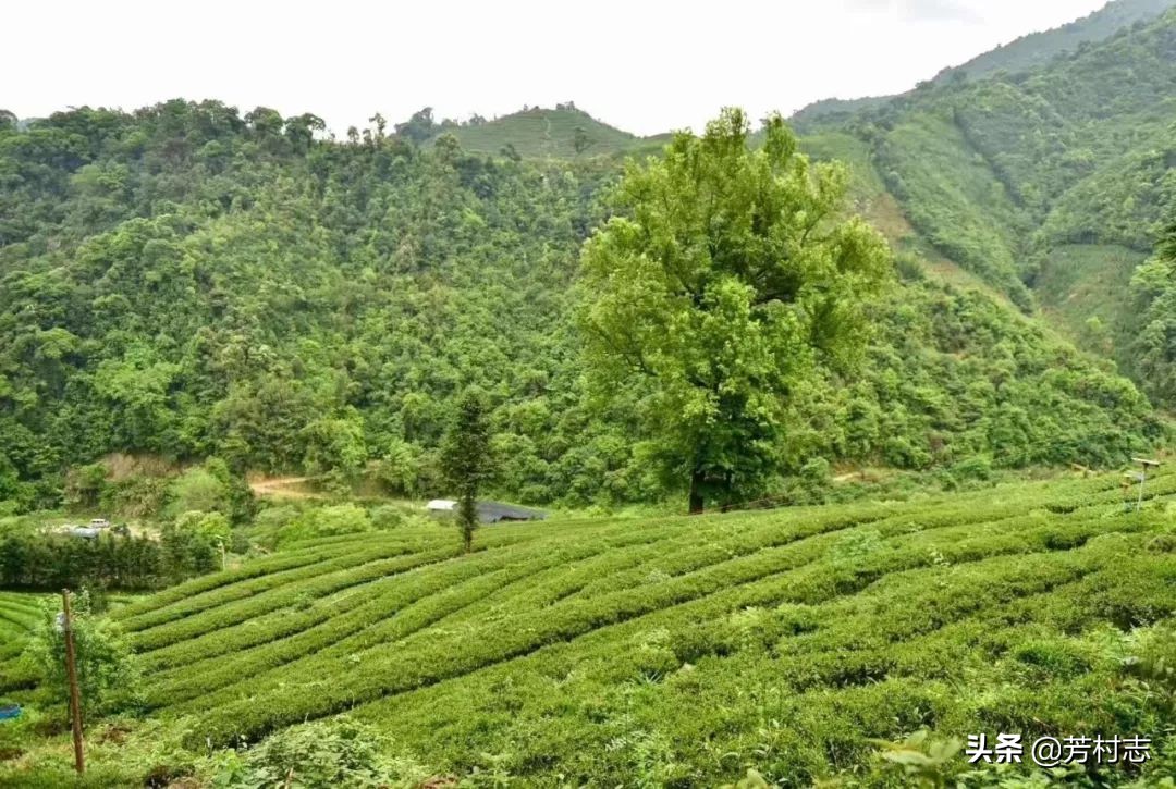 遇见·预见|开眼界!大广州下冰雹;国内油价将4连涨