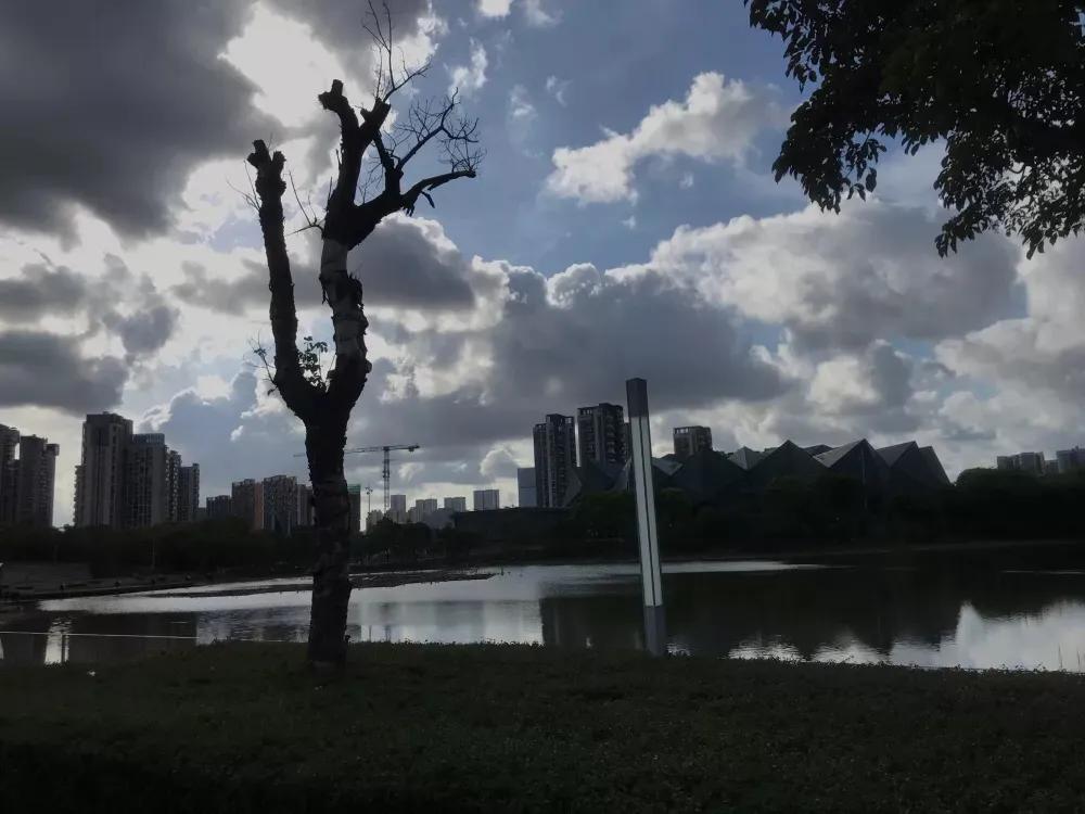 深圳龙岗跑步圣地排行榜,龙岗跑步圣地