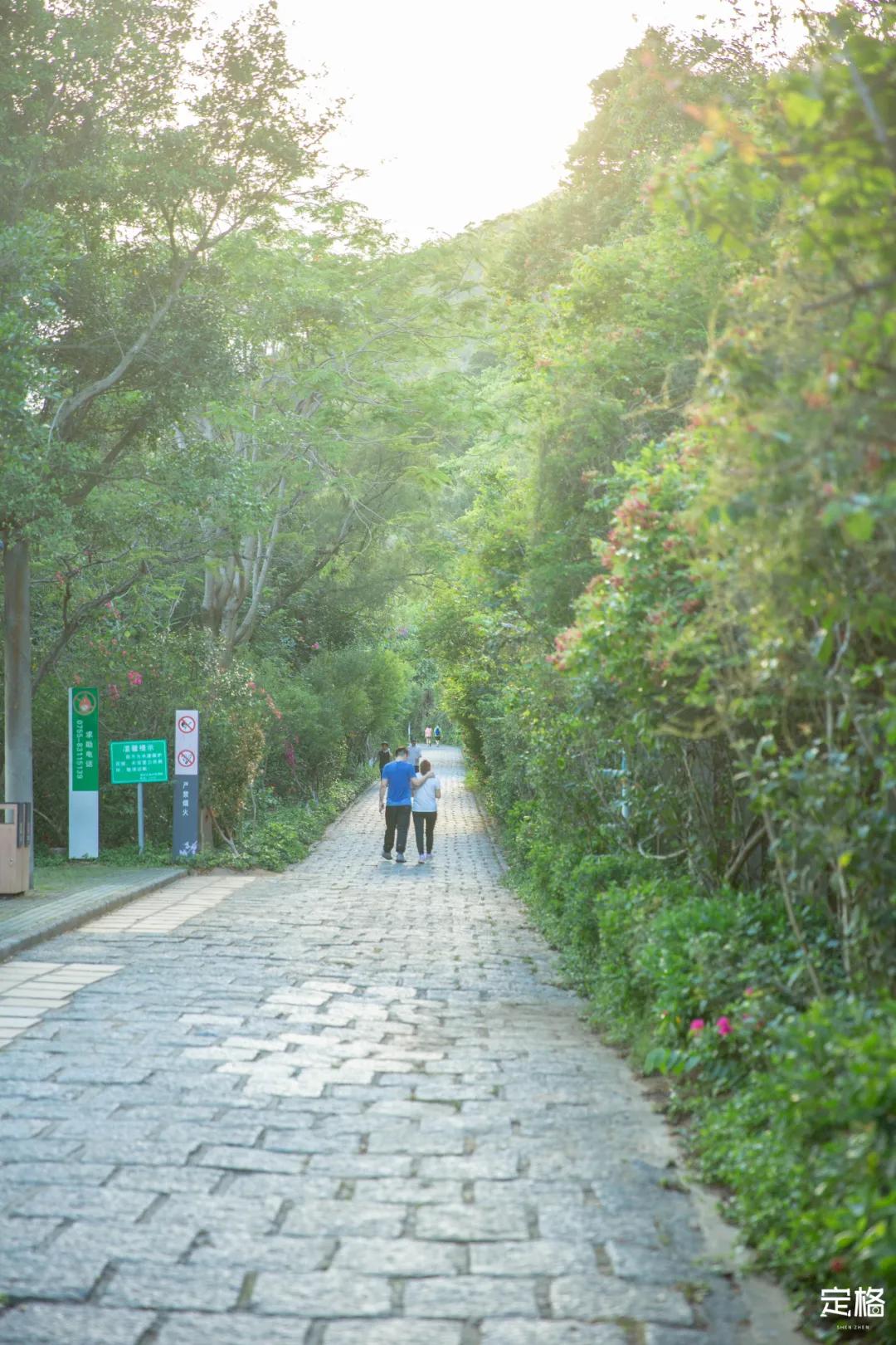 深圳梅林水库有山溪吗,深圳梅林水库在哪个区