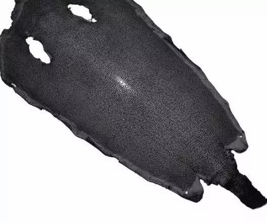 珍珠鱼鱼皮磨皮方法,珍珠鱼皮的颜色是染色还是天然