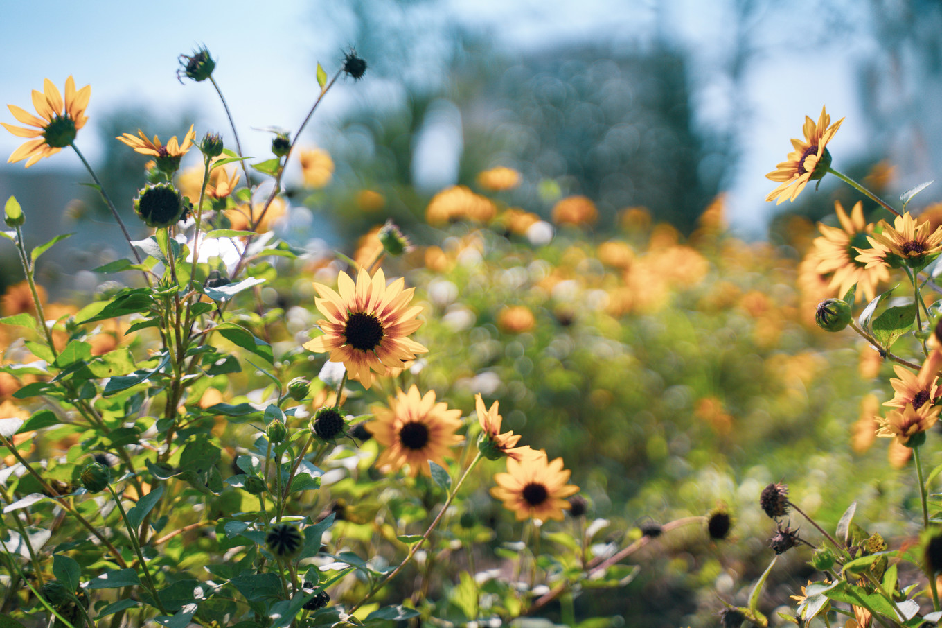 不仅仅是皮革，海清潮静——海宁