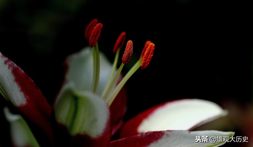 牛啊，写诗也能骂人，这十首讽刺意味的诗歌，第六首发人深省