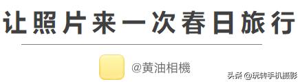 今年错过的春天，这些摄影app全给安排上了