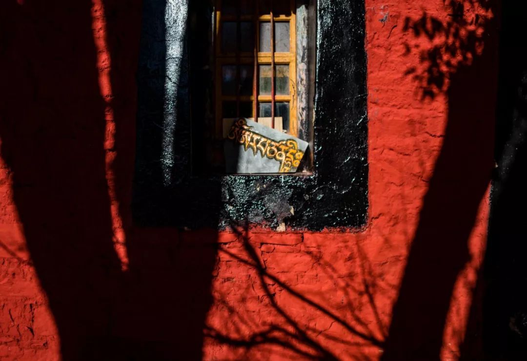 王员外图片,王员外摄影剪辑