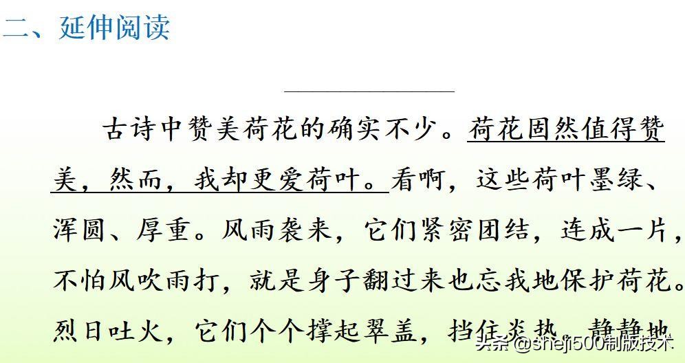 部编版三年级下册语文3荷花讲解,三年级下册部编语文荷花教学视频