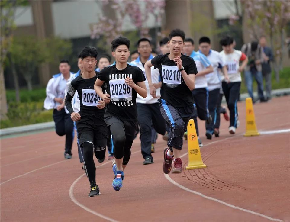 江苏2024年中考体育分值及标准,江苏省体育考试成绩查询