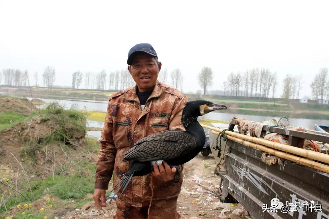 叶县这位姑娘火了！靠网络直播捕鱼，成功吸粉200多万！