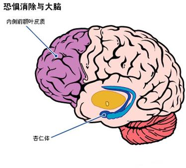 苏州人为什么喜欢吃糖,苏州人为什么喜欢吃辣的