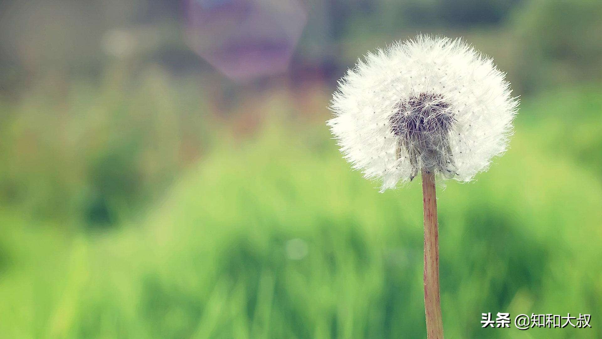 不哭不闹的女人才让人害怕,不哭不闹的女孩反而没人疼没人爱