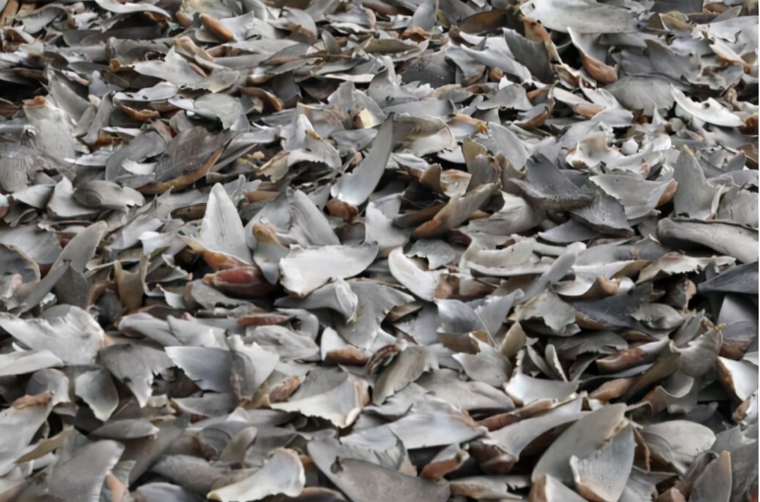 哥伦比亚成功抓获头号毒枭,哥伦比亚抓捕了多少人