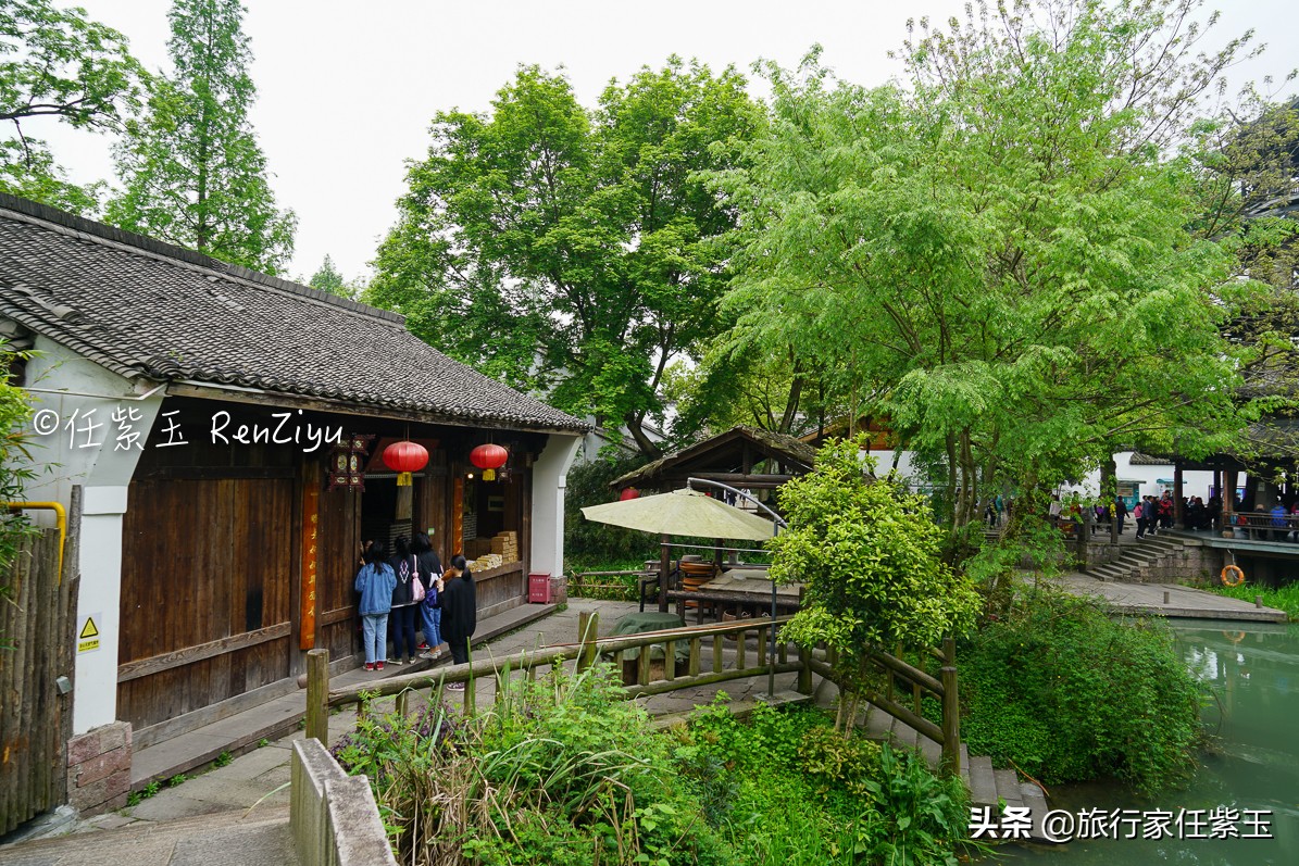 春天旅行首选杭州西溪湿地，绿色沁人心脾，中国十大魅力湿地之一