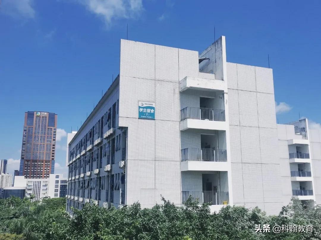 在深圳中学就读是怎样一番体验,深圳读书的真实感受