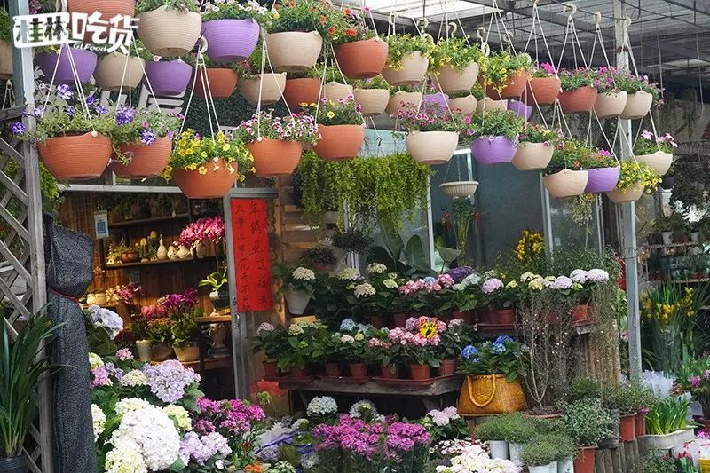 桂林市春节年货一条街,桂林有哪些年货市场