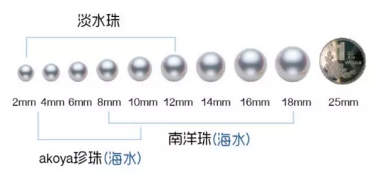 买海水baby珠还是淡水珠,天然海水珠和天然淡水珠哪个贵