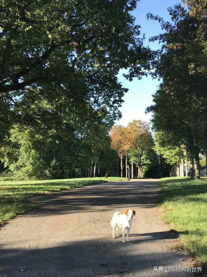 瑞士10日游枫丹白露,游法国枫丹白露宫