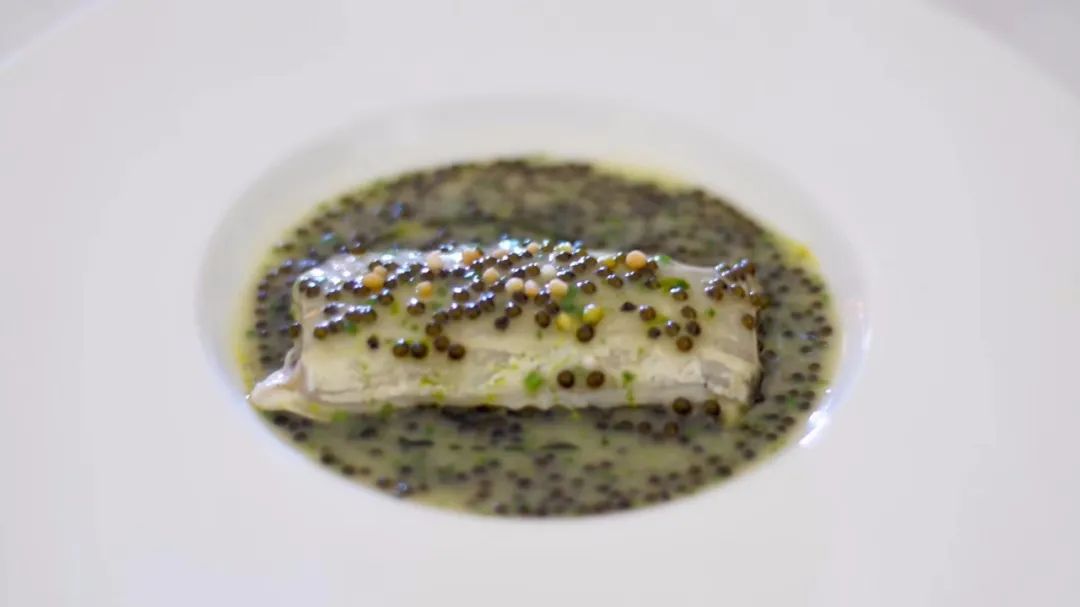 海错图爱情笔记深度解析,海错图爱情笔记免费