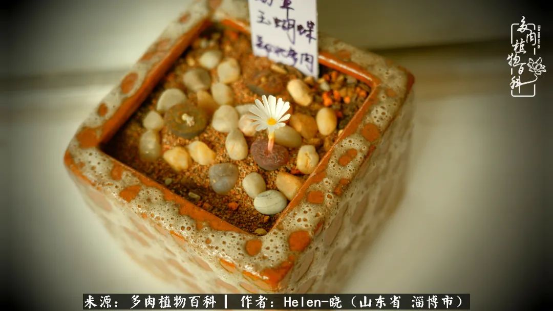 人到中年温暖如初,人到中年岁月静好