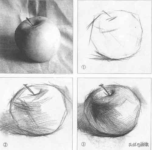 陈数下颌角视频讲解,46岁的陈数凭什么再次惊艳