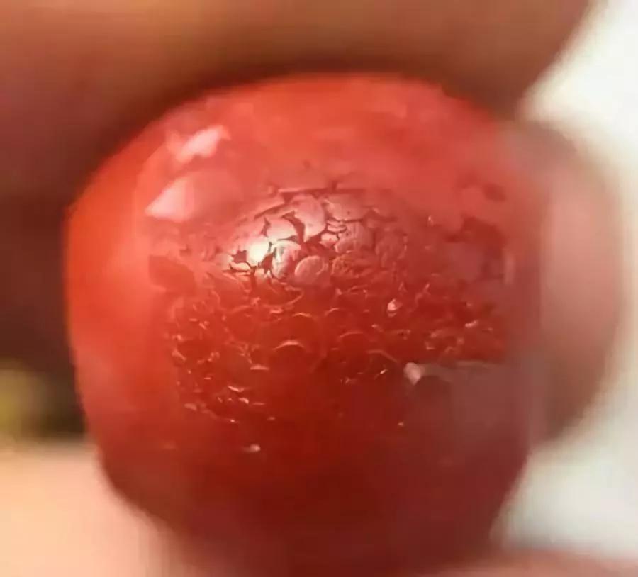 你的是不是老珠子,自己心里没点X数吗?