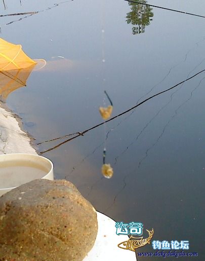 新手钓鱼老是觉得鱼料不行,钓鱼开拉饵的正确方法