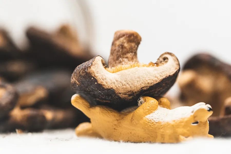 冻干果蔬干排行榜,15种综合果蔬干淘宝