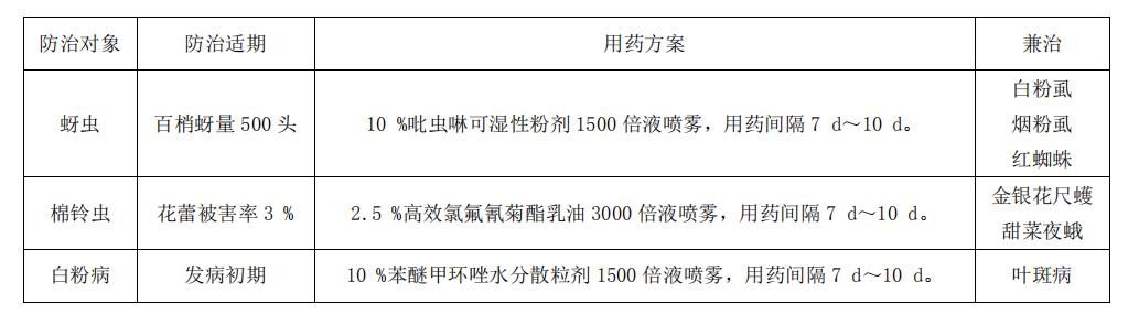 金银花从种植到卖掉的流程,金银花从种植到烘干