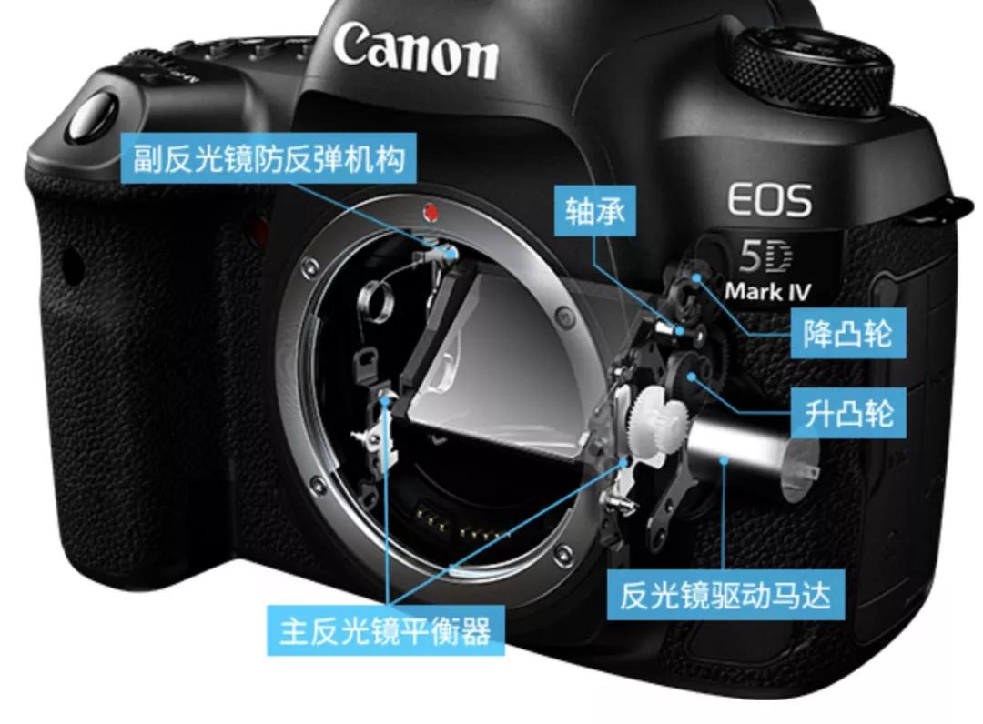 买数码相机好还是微单好,新手买相机是买单反还是微单