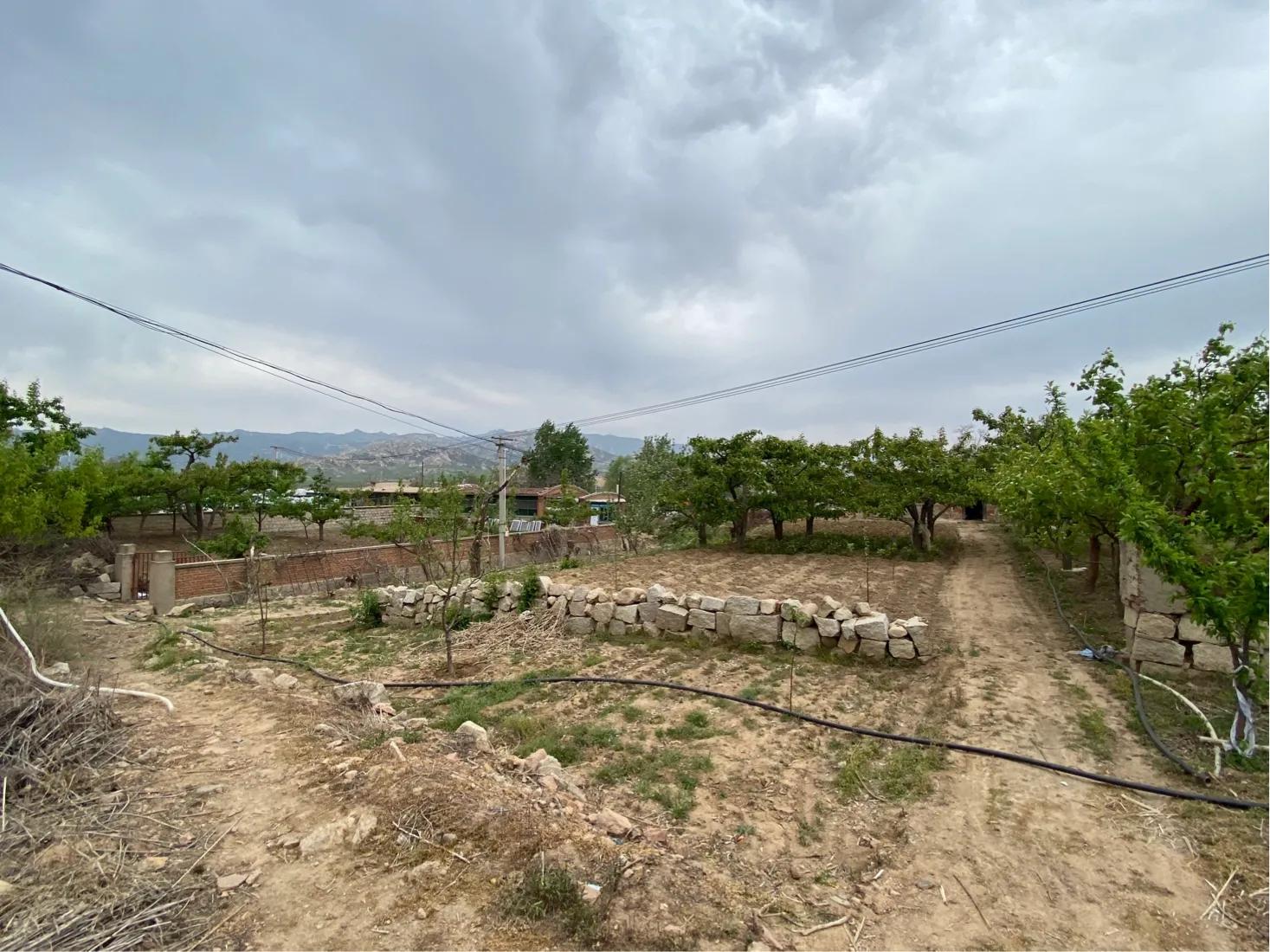 【7/5】29、搬倒井后太爷墓