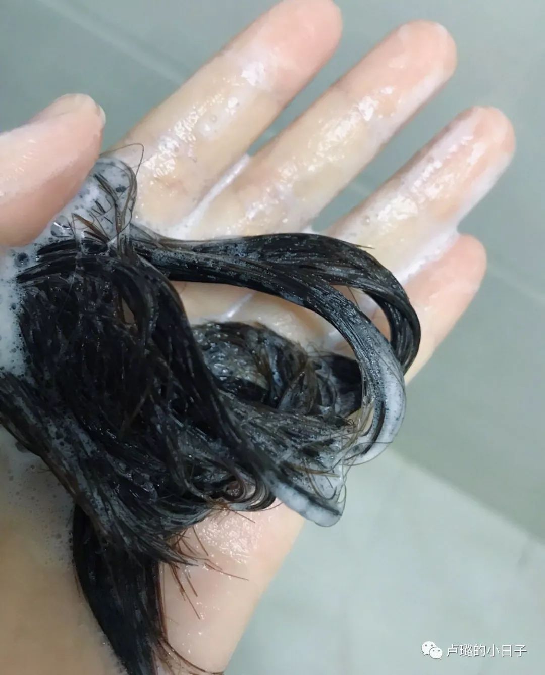 可以拯救发际线的洗发水推荐,拯救干枯毛躁和去屑的平价洗发水