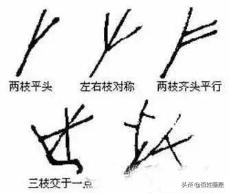 国画梅花画法视频,徐湛梅花画法教程