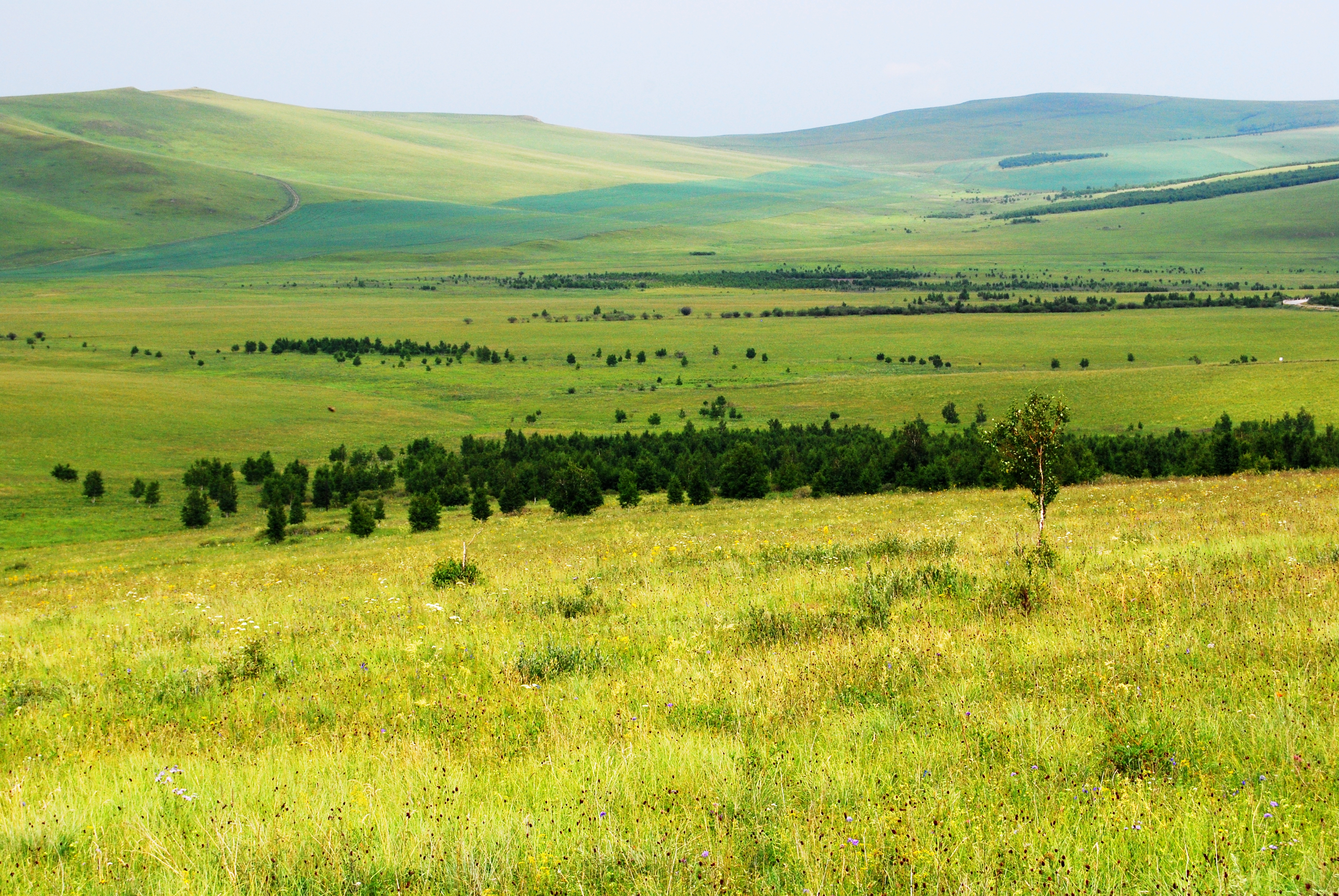 一辆车，从东乌旗沿中蒙边境公路到阿尔山，漫长边关寻迹历史遗存