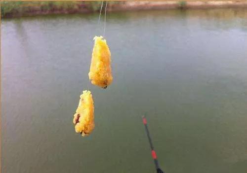 春天来了钓鱼人的黄金季节,一竿一线一钩3月到6月底能钓鱼吗