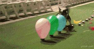 搞笑GIF段子：.我的小萝莉呢？你还我的小萝莉