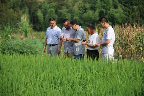 简单阐述家庭农场具有哪些优势,创办家庭农场的必要准备