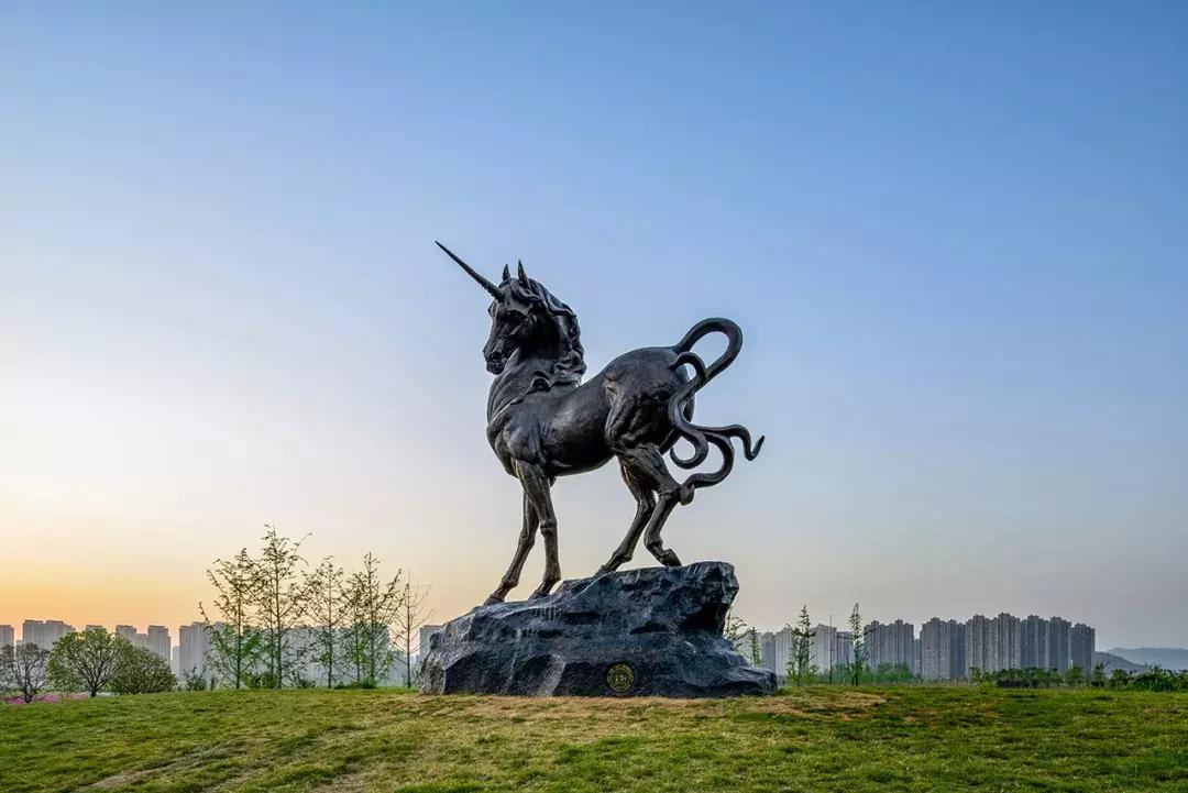 长沙洋湖湿地公园推荐视频,长沙洋湖湿地公园绿野仙踪