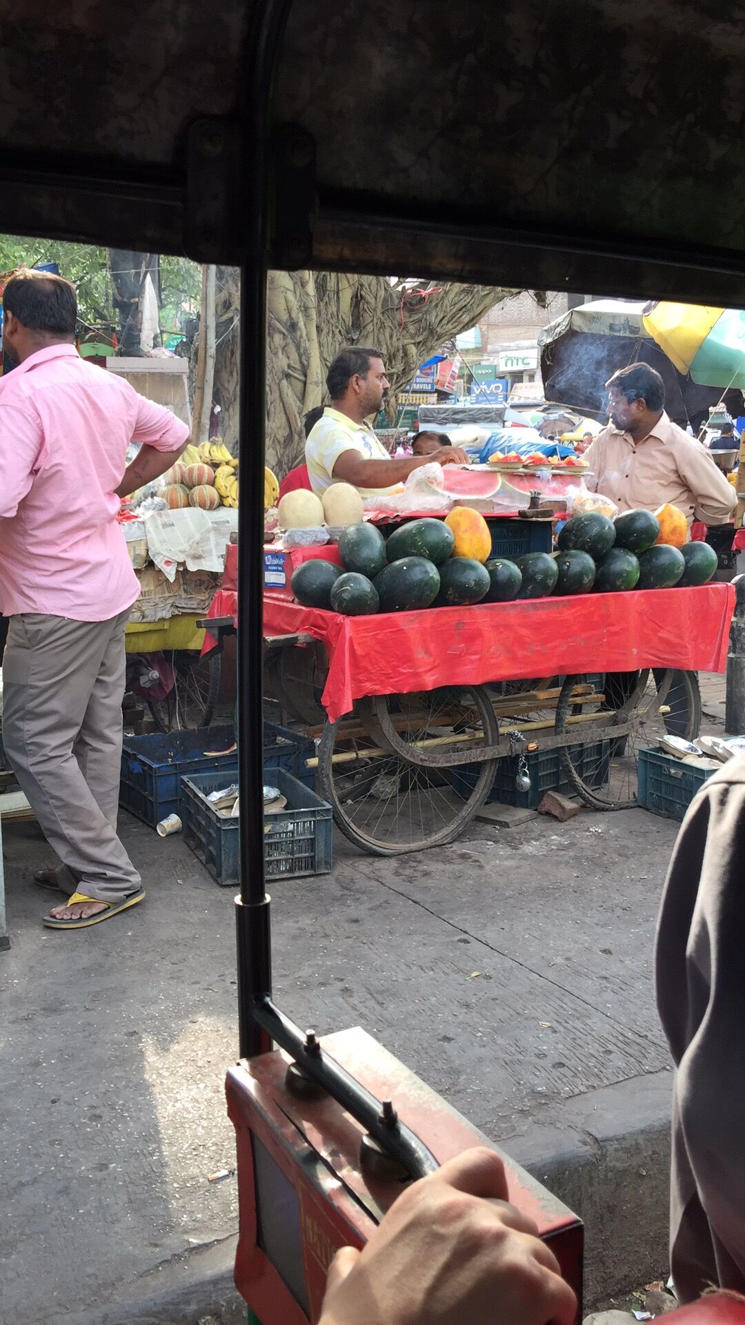 印度见闻大全,中国印度见闻录