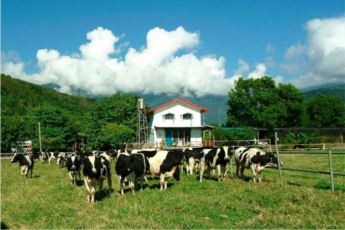 台湾环岛8日自由行详细攻略,台湾八天自由行环岛攻略