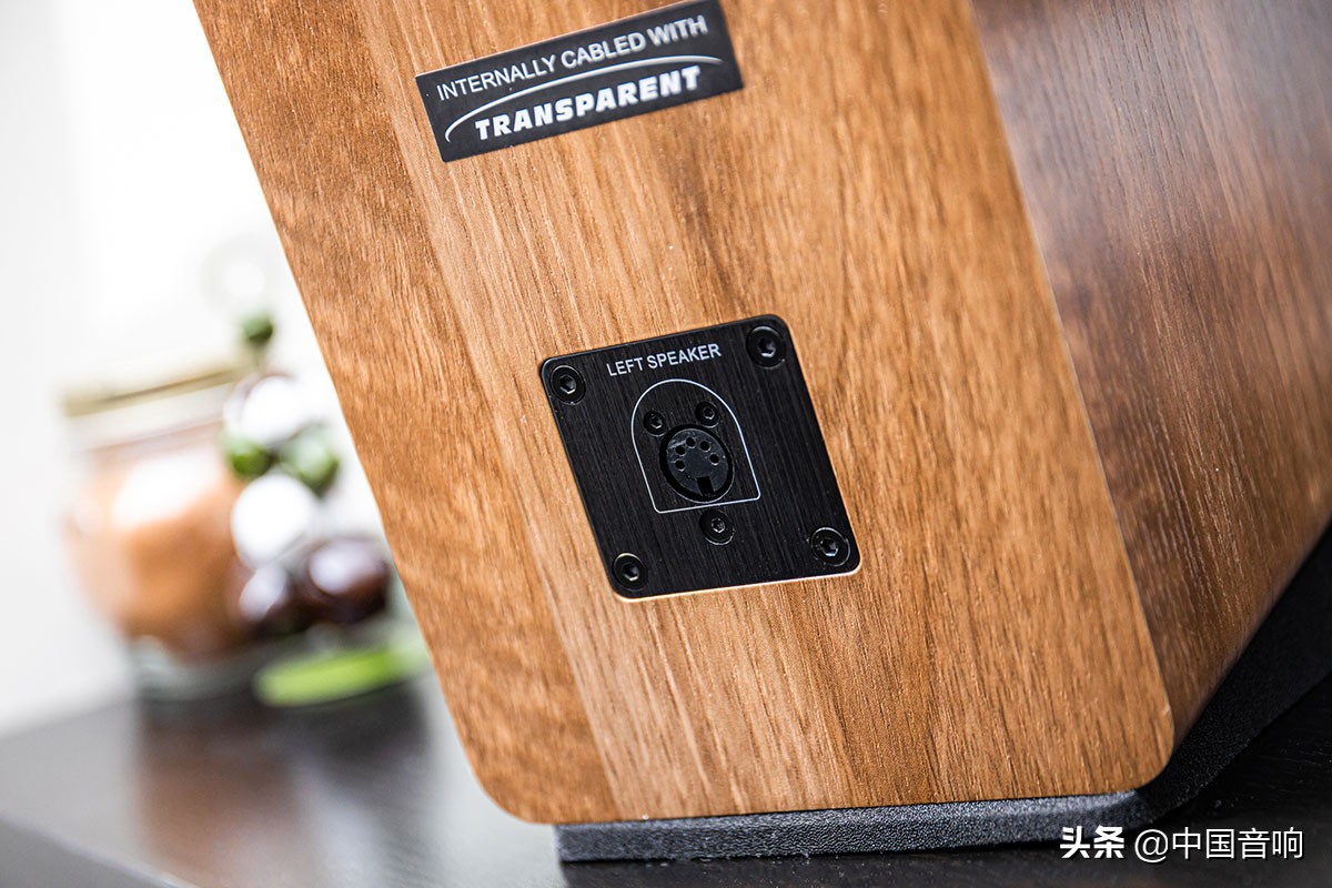 漫步者airpulsea80a100区别,漫步者分体式音箱