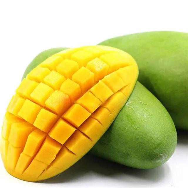 芒果树最甜的品种,芒果树哪种品种好吃