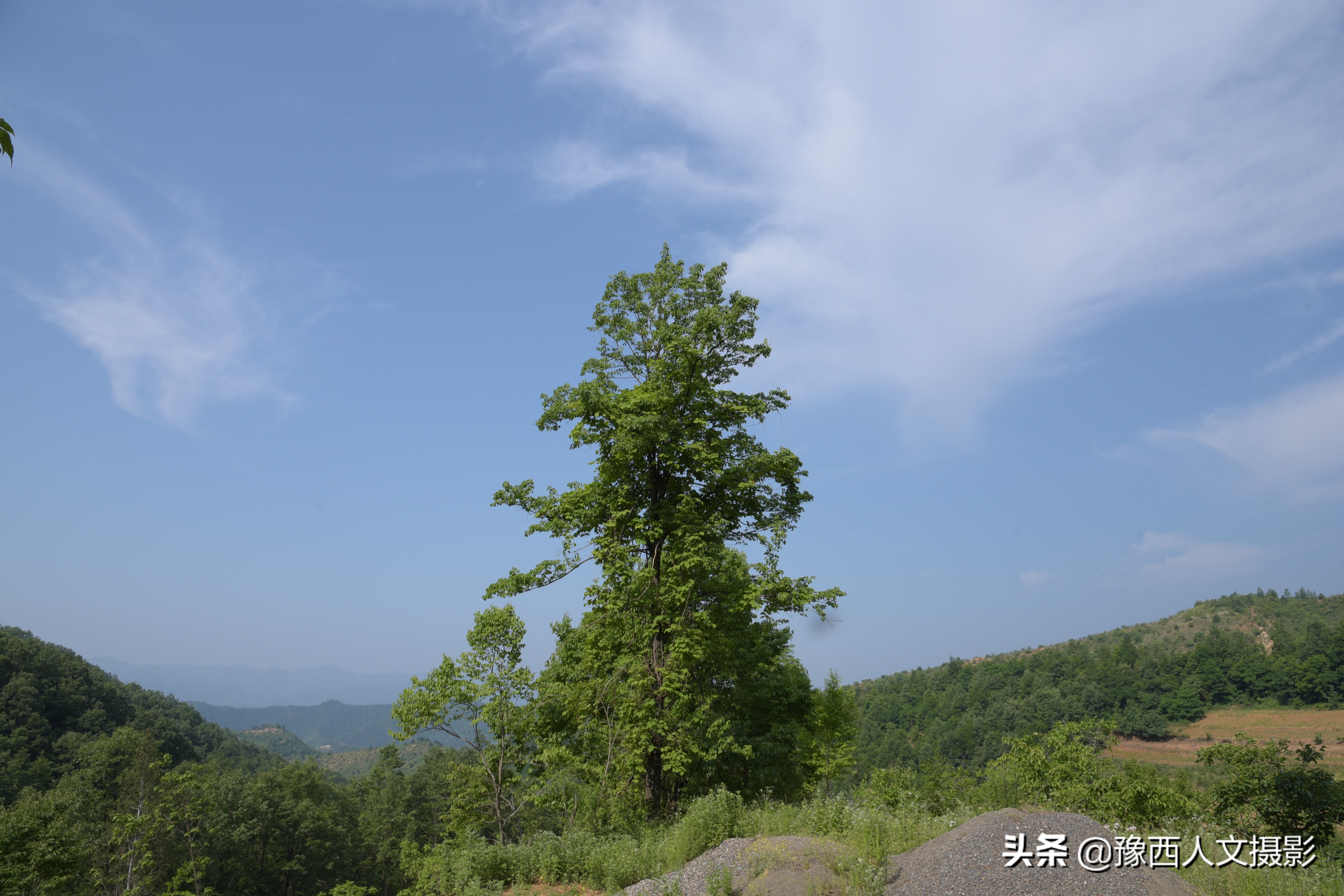 老村医治好脉管炎,两兄弟拿万元酬谢,他仅从毛票中抽出80块