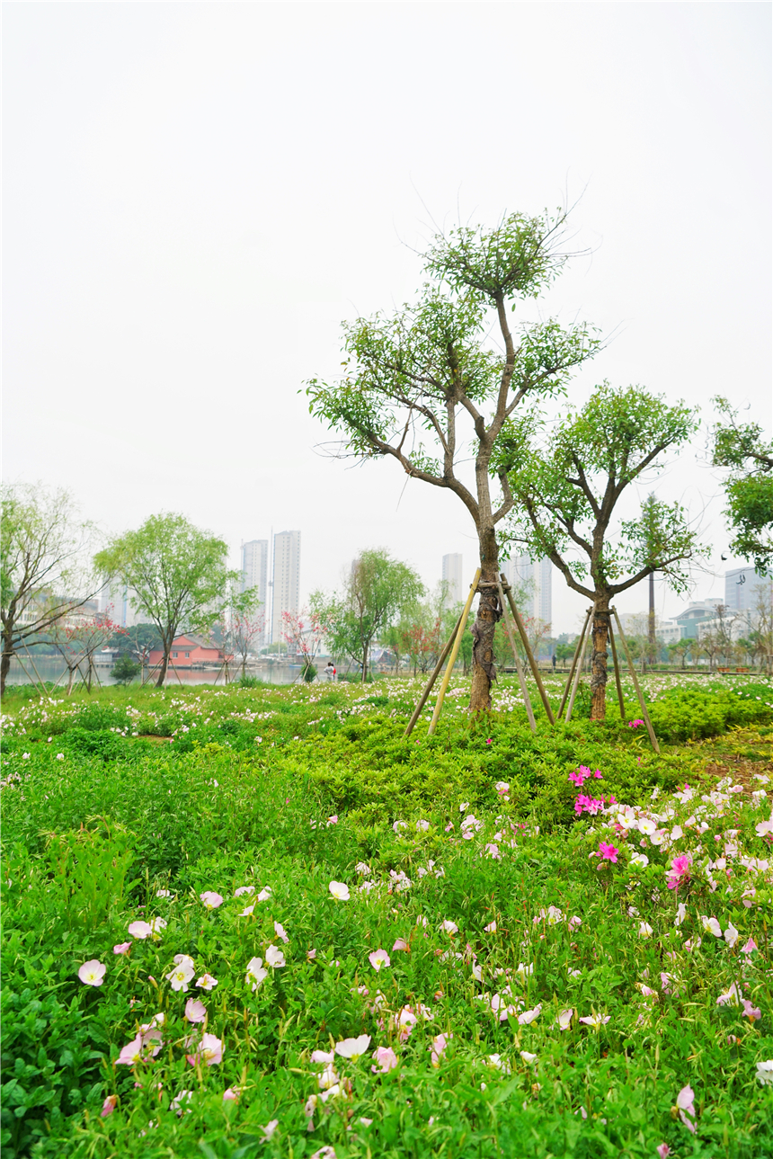 江南水乡旅游攻略四天三晚,温州旅行攻略四天三夜