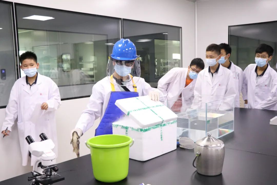 青竹湖湘一外国语学校一校两址,青竹湖湘一外国语学校分校