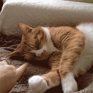 深圳2兄妹身上频现“离奇淤青”，医生：可能是吃出来的！咋回事？