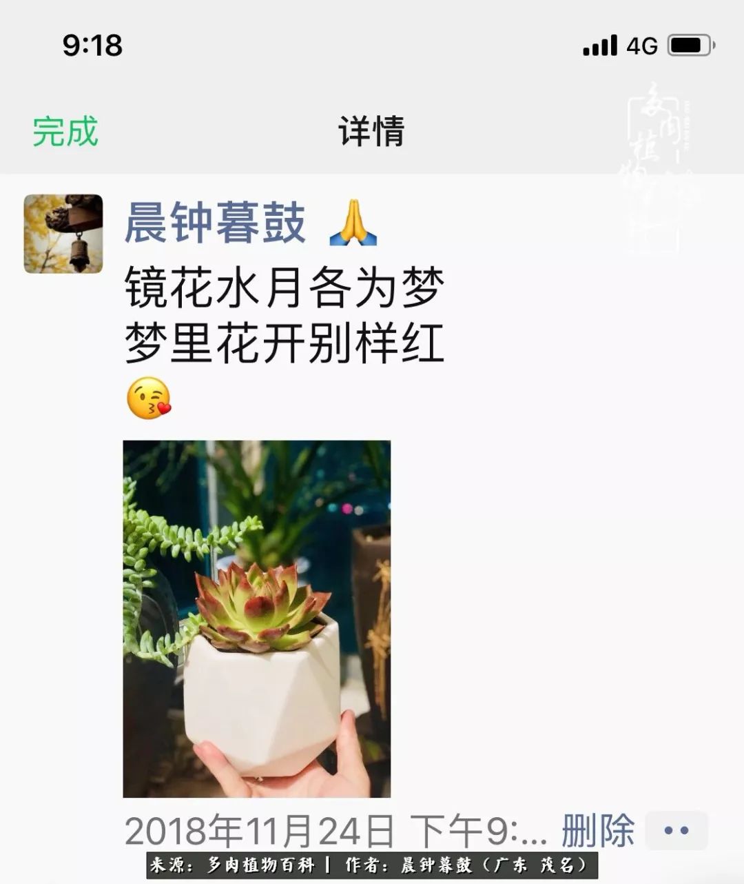 轻轻地告诉你,我的多肉也曾美过,不信你看看