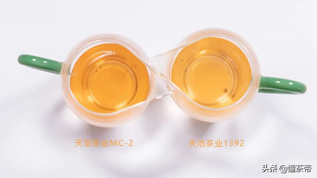 高端单丛蜜兰香,凤凰单丛蜜兰香的优劣区别