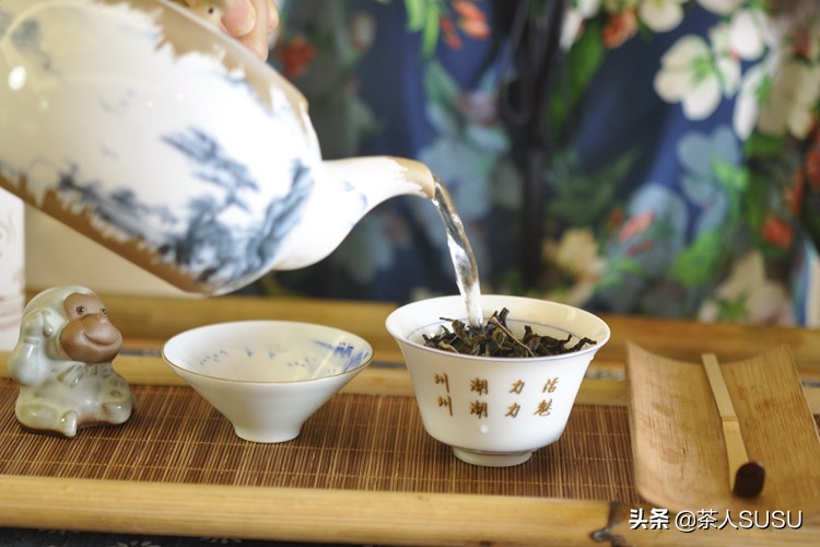 冲泡单丛茶用什么壶最好,潮州凤凰单丛茶冲泡温度