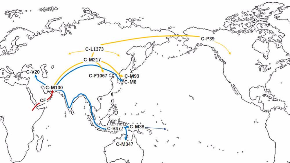 dna可以查出有哪个民族的基因吗,从dna看蒙古族和汉族同宗同源吗